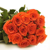 orange-rose.jpg