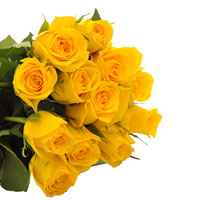 yellow-rose.jpg