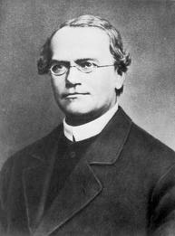 Gregor-Mendel-scientist.jpg