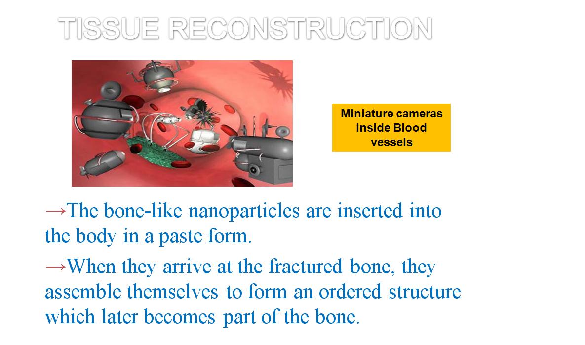 nanoss.JPG