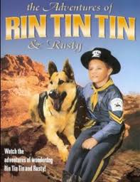 rin_tin_tin.jpeg